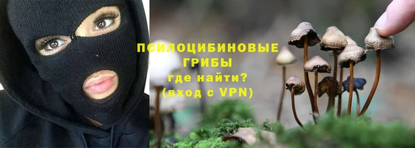PSILOCYBIN Бугульма