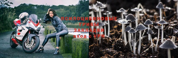 гидропоника Бронницы