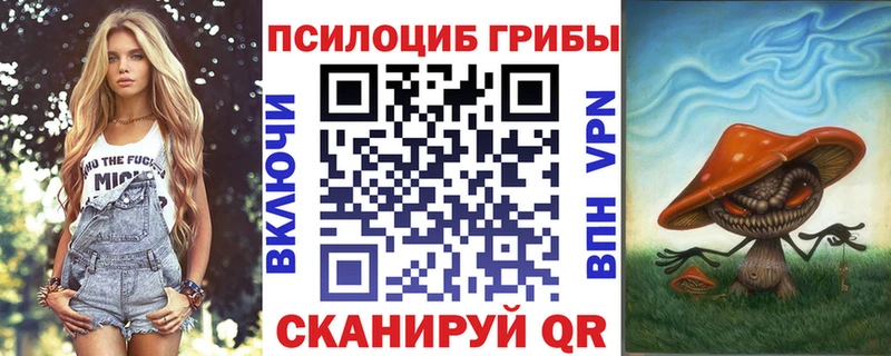 Псилоцибиновые грибы Cubensis  как найти закладки  Гаврилов Посад 